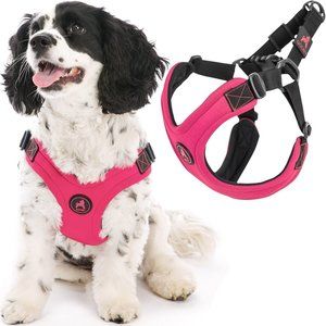 Gooby - Escape Free Easy Fit Harness for Smaller Dogs - Medium